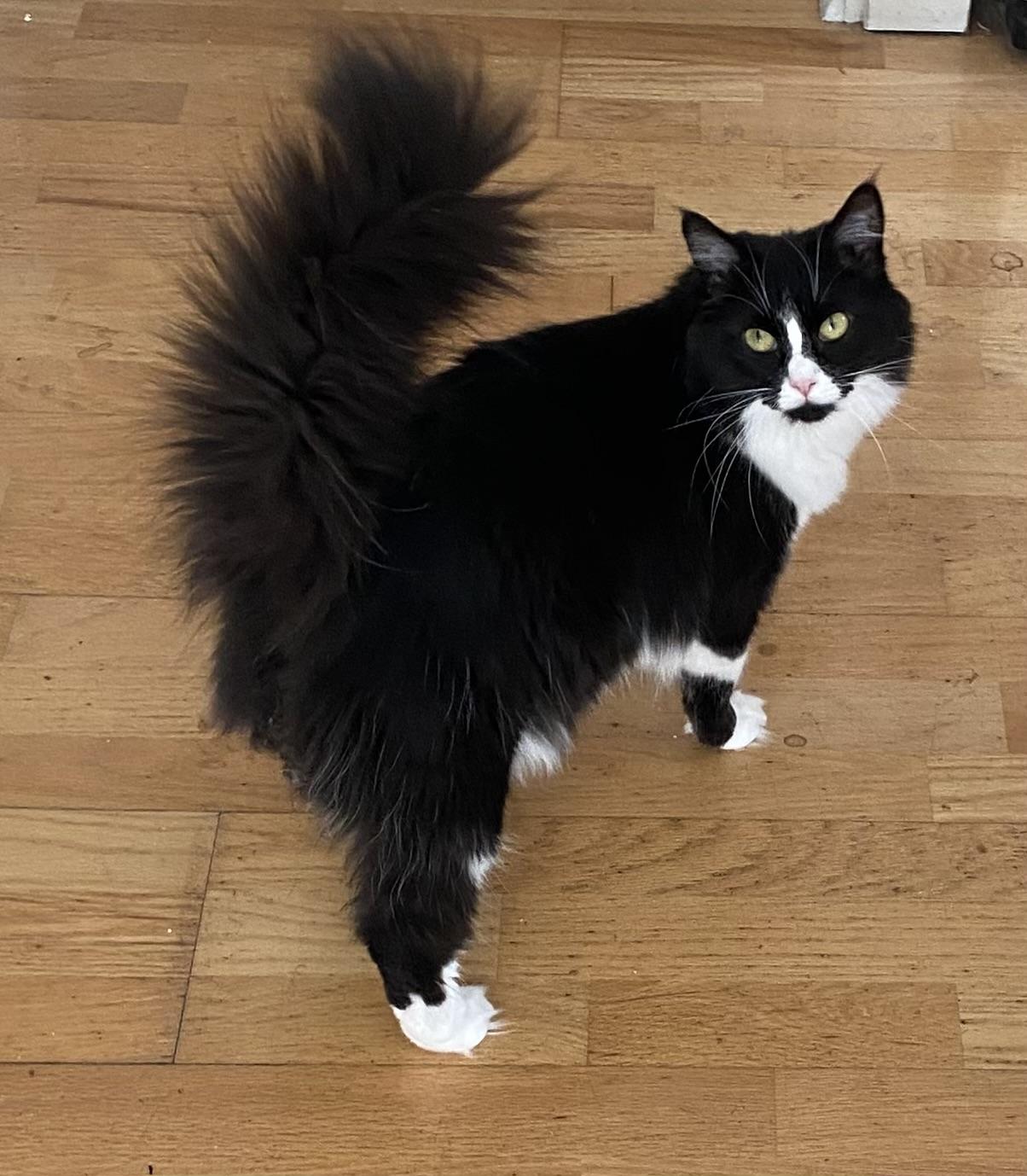 Mamacita w/LP (BACR #1934)